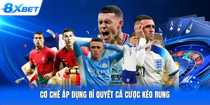 Cơ chế áp dụng bí quyết cá cược kèo rung