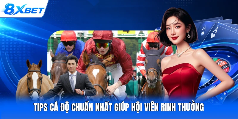 Tips cá độ chuẩn nhất giúp hội viên rinh thưởng